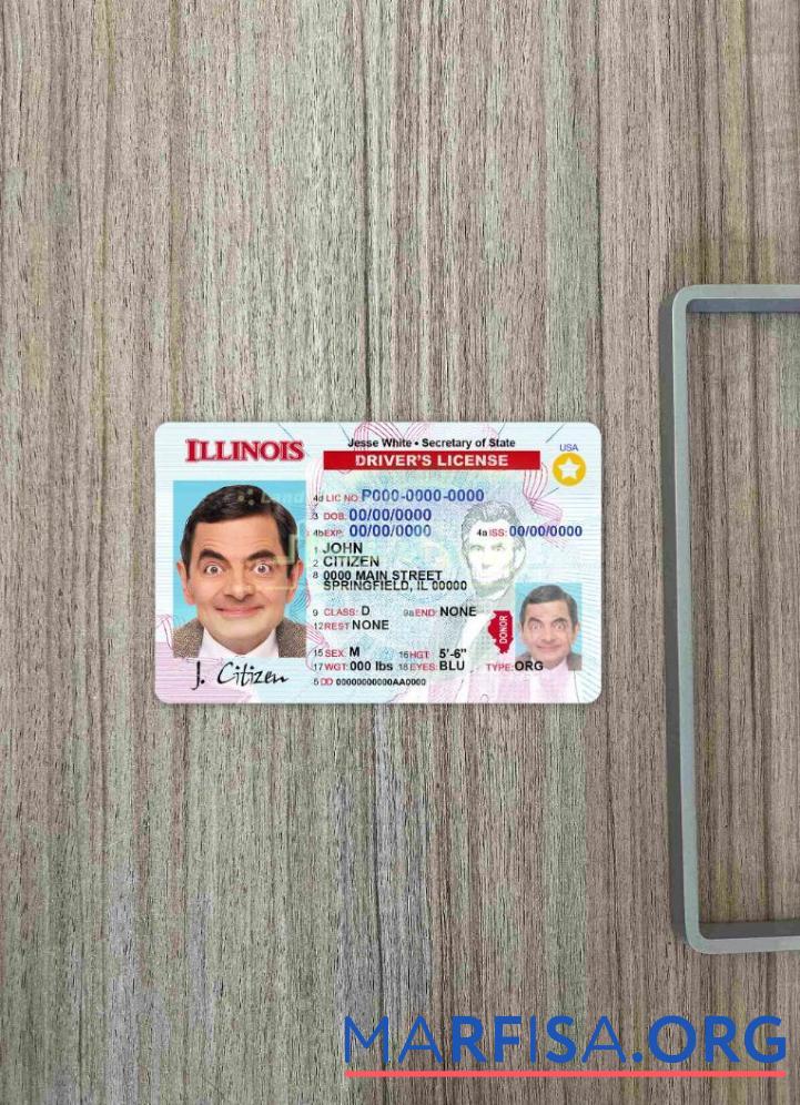 Realistic USA Illinois DL photolook sample